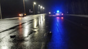 Водитель на трассе насмерть сбил пешехода и скрылся с места ДТП в Новосибирской области