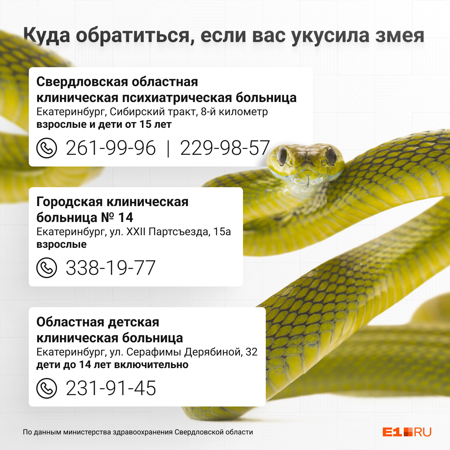 Адреса и телефоны больниц, куда нужно обращаться с укусом змеи