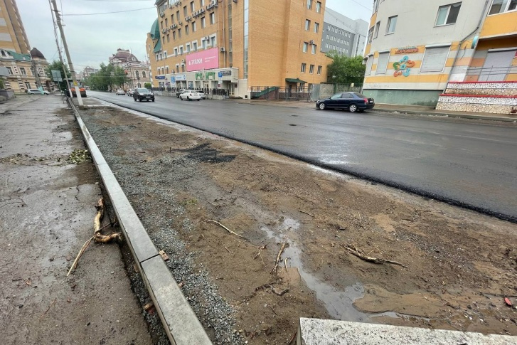 Тополя на улице Чкалова администрация Читы назвала старыми и больными. И срубила Тополя на улице Чкалова администрация Читы назвала старыми и больными. И срубила