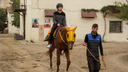 «Лошадка за миллион долларов»: чем обернулась для самарца простая поездка в магазин в Стамбуле