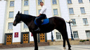 «Если хотите «быть на коне» — надо быть на коне»: депутат донского Заксобрания прискакал на работу