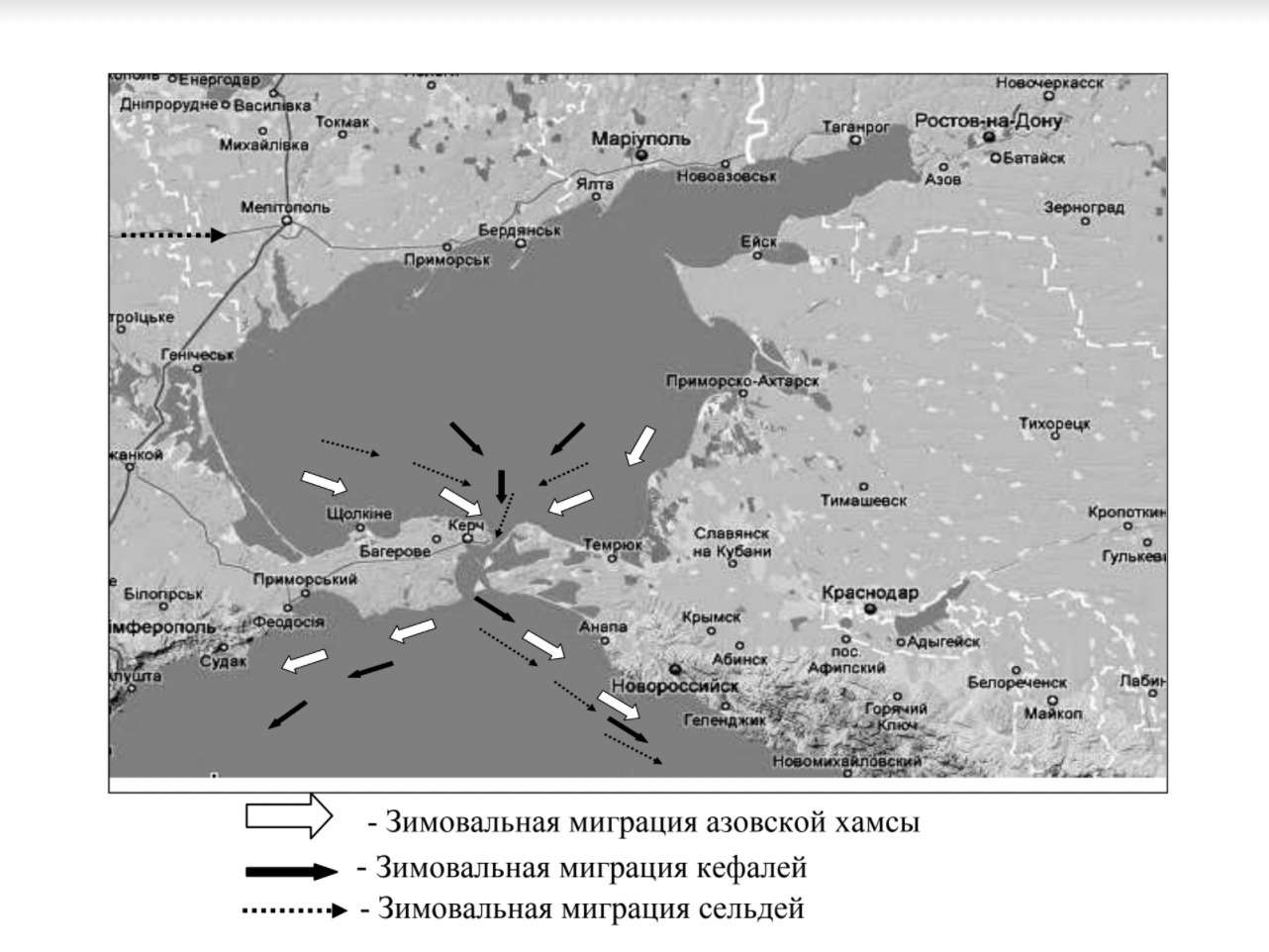 Миграционные пути основных промысловых видов рыб в Азово-Черноморском регионе