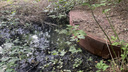 «Затапливает огромную площадь»: под Волгоградом продолжаются сливы нечистот в реку