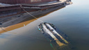 В Самаре затонувшее судно на воздушной подушке отбуксировали к берегу