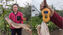 «Испытал бурю эмоций и прилив адреналина»: новосибирец выловил 6-килограммовую щуку