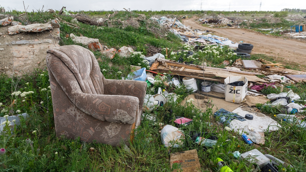 «Мы стали мусорной цивилизацией»: ученый рассказал, что грозит деградацией биосферы в Волгограде