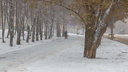 Мороз крепчает: синоптики озвучили прогноз погоды на рабочую неделю в Самарской области
