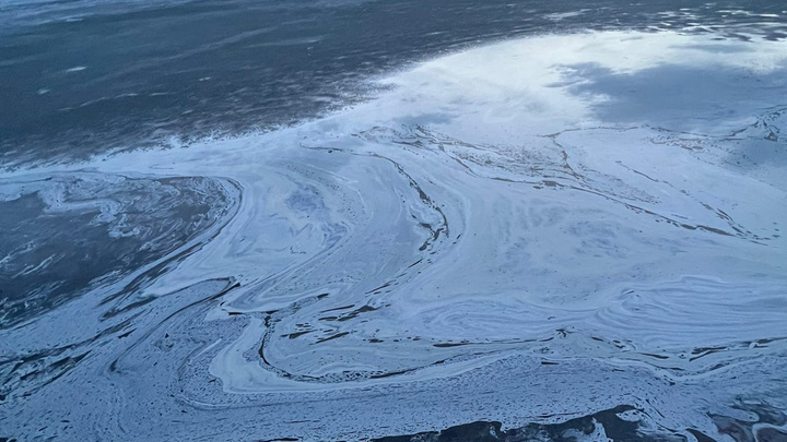 На озере в Челябинской области обнаружили большое масляное пятно