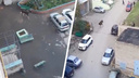 Бежал на детей: в Самарской области на улице заметили лося