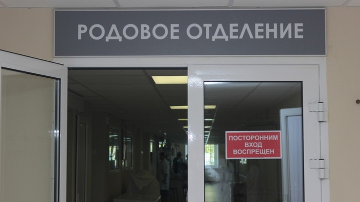 Депутаты Госдумы просят разобраться, почему нижегородские медики не отдают ребенка уроженке Донецка