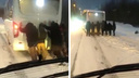Водители собираются бастовать из-за нечищенных дорог в Новосибирске: видео, как пассажиры вытолкали автобус