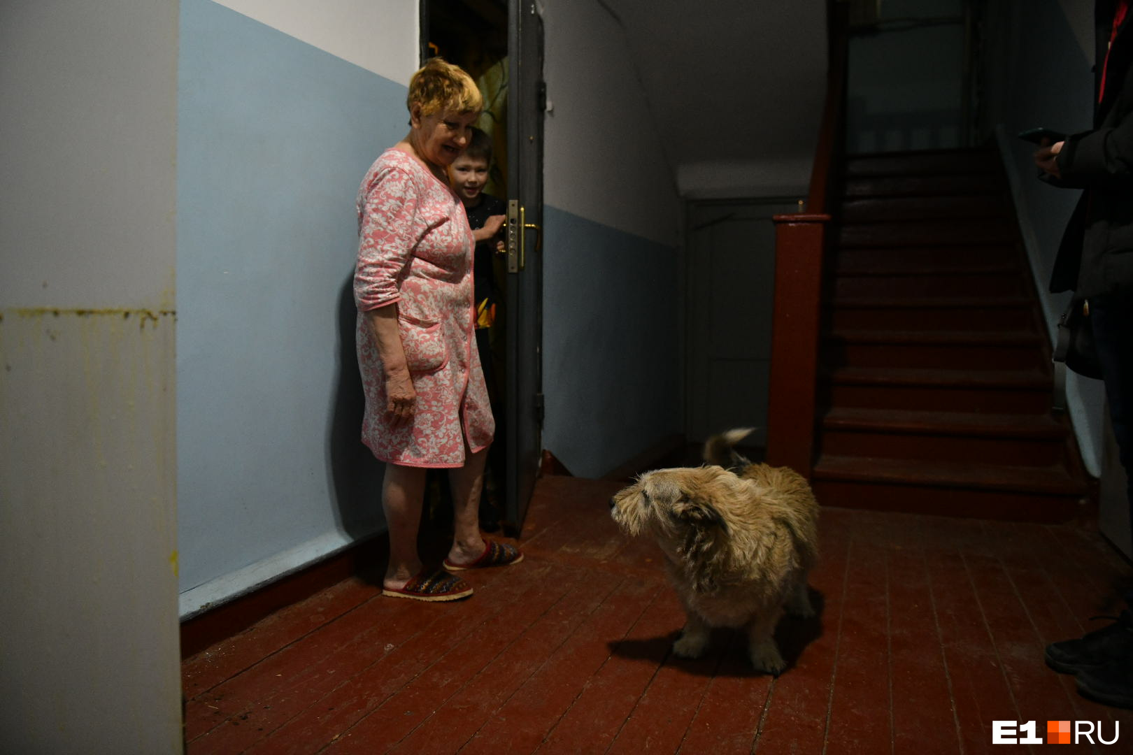 В подъезде живет дружелюбный пес, который охраняет покой жильцов дома