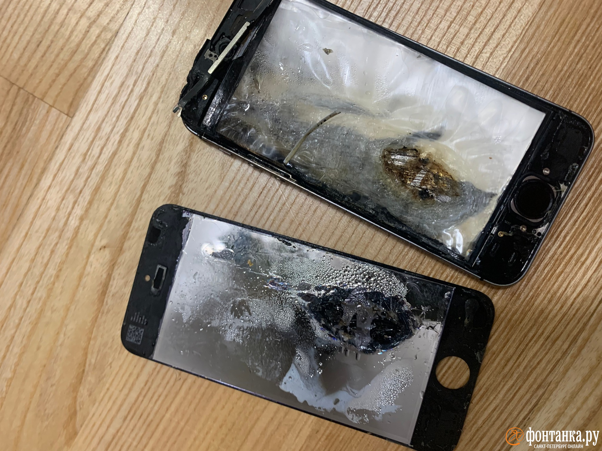 iPhone загорелся прямо в руках у петербурженки. Это редкость даже для старых  телефонов - 26 ноября 2021 - ФОНТАНКА.ру