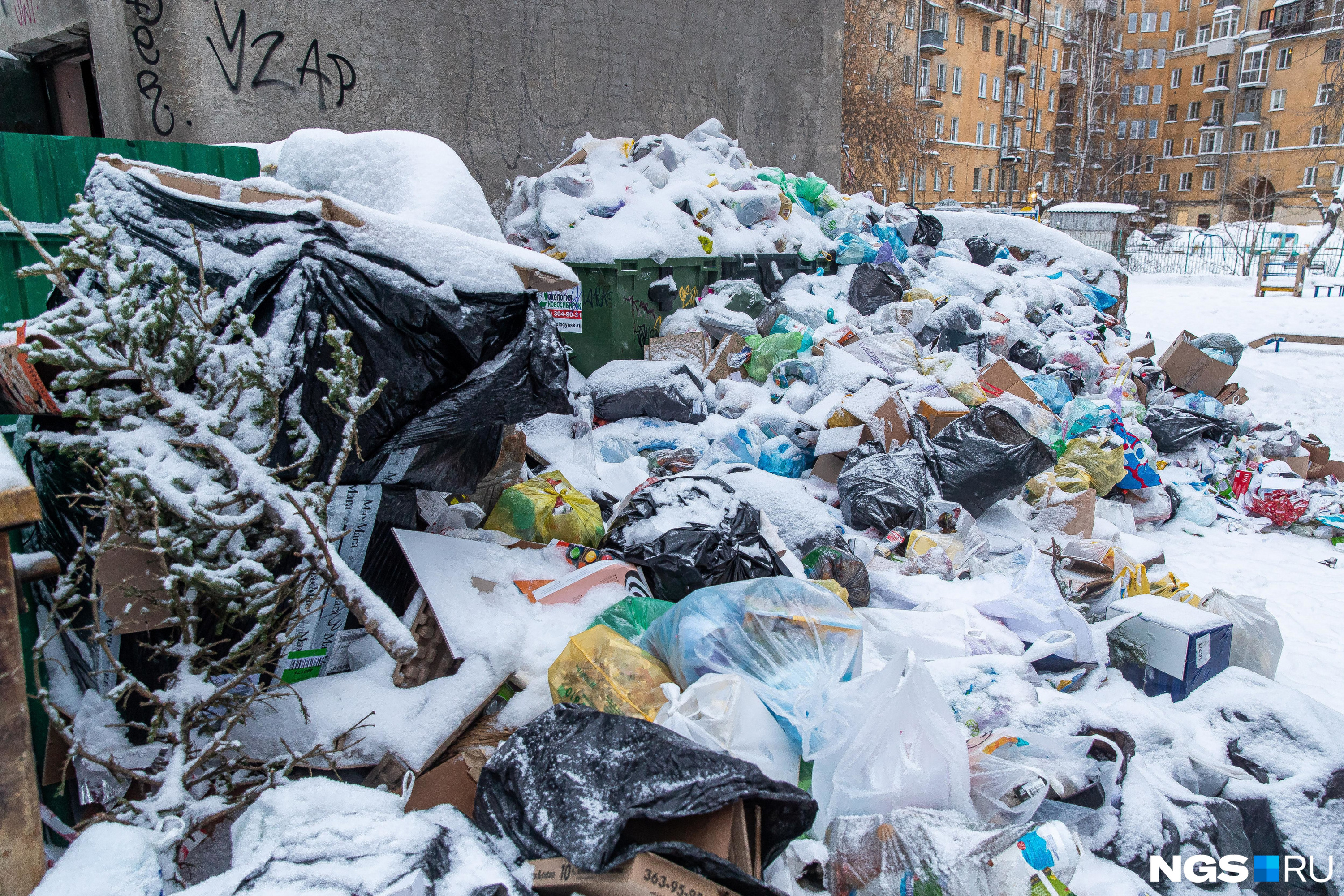 В Минприроды Забайкалья решают, как начать штрафовать за выброс мусора по камерам