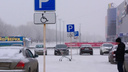Начальник ГУ МВД потребовал приостановить эвакуацию машин с мест для инвалидов в Челябинске