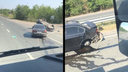 Машины разбросало по дороге: на трассе Самара — Новокуйбышевск произошло массовое ДТП