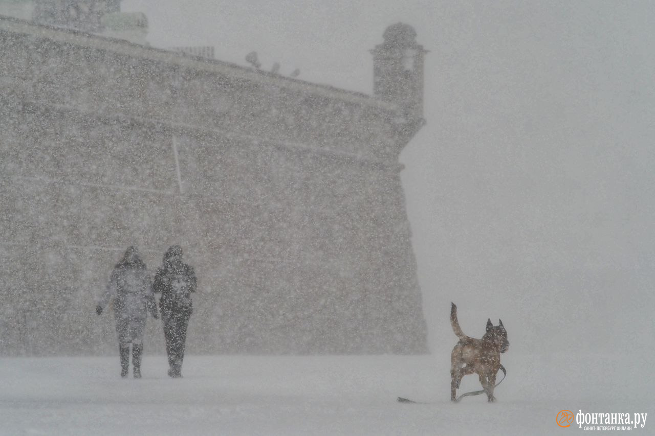 Погода в Петербурге радует любителей зимы, но осложняет жизнь водителям