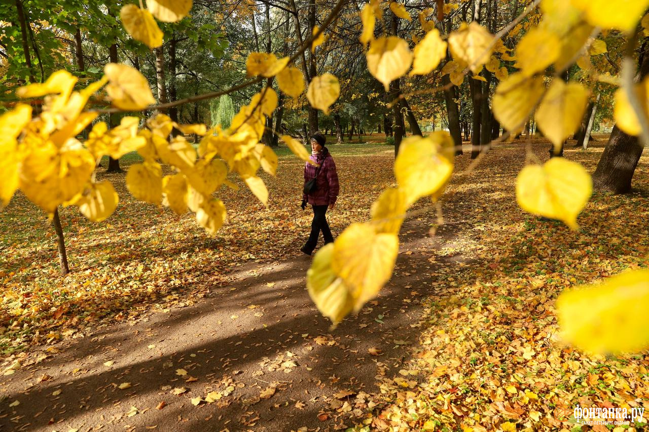 Пожелтевшее фото песня