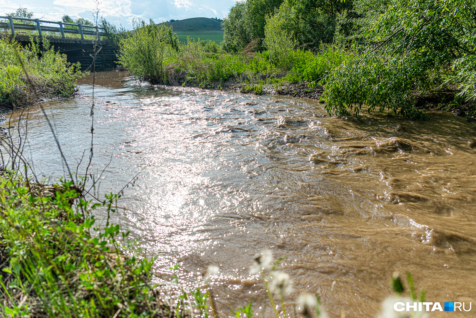 Забайкальцы пожаловались на загрязнение реки Шилки