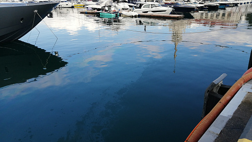 В морском порту Сочи обнаружили огромное нефтяное пятно, Росприроднадзор ищет виновных