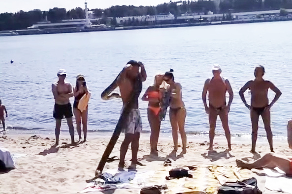 В Ярославле на пляж принесли гигантскую змею, видео | 76.ru - новости  Ярославля