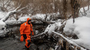 Хатку бобра разобрали с экскаватором на реке в Новосибирске — <nobr class="_">10 фото</nobr> с места, которое спасали от паводка
