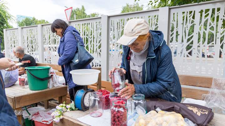 «Для варенья сойдет»: почем ягоды и зелень на мини-рынках Красноярска
