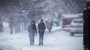 В пригороде — до -38 градусов: синоптики предупредили о сильном морозе в НСО