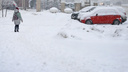 «Будет тепло»: народный синоптик Илья Винштейн рассказал о погоде в феврале в Кургане