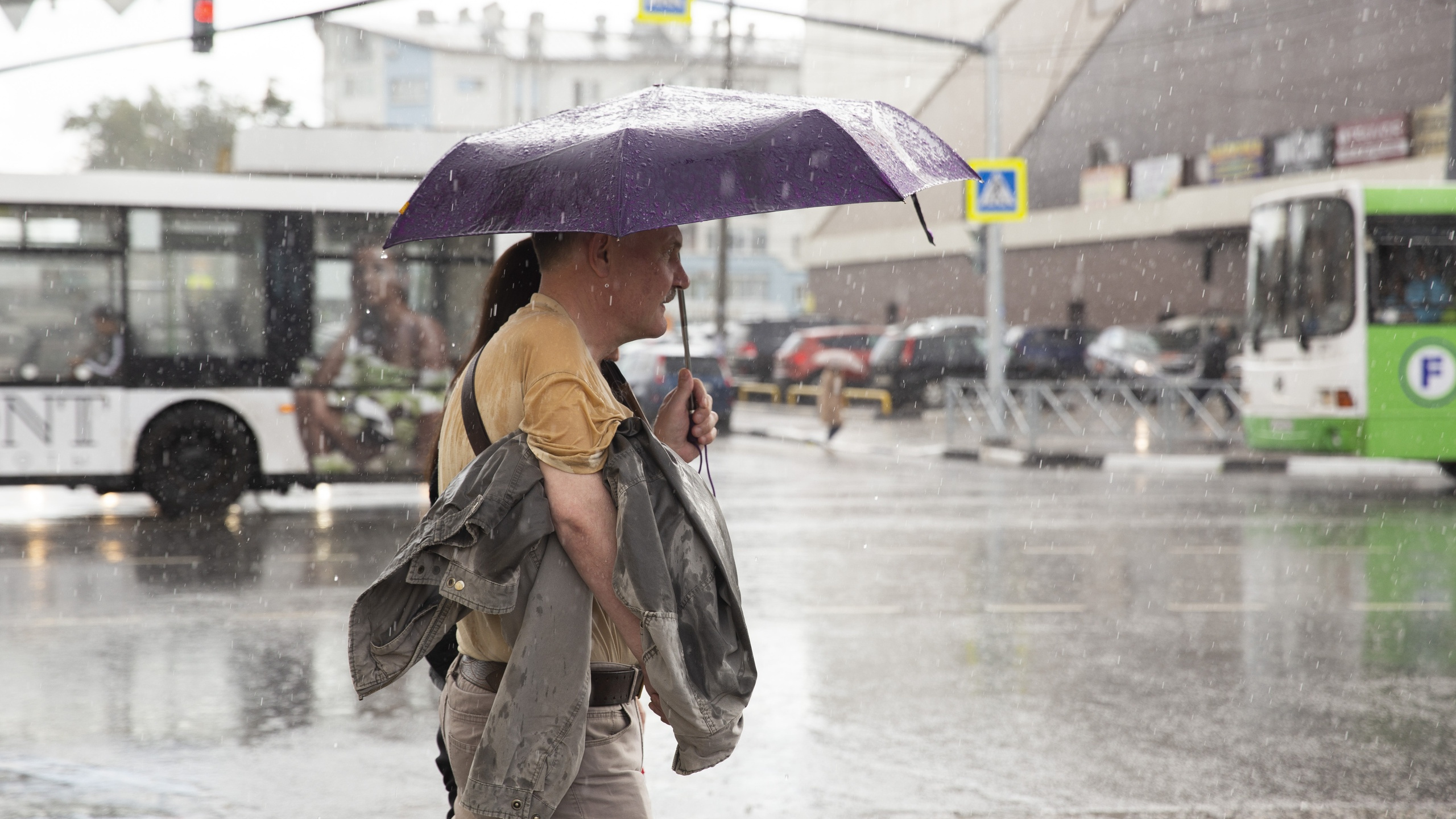 Какое лето будет дождливое. Дождливое лето. Дождливое лето в Москве. Теплое дождливое лето. Дождливая пасмурная погода.