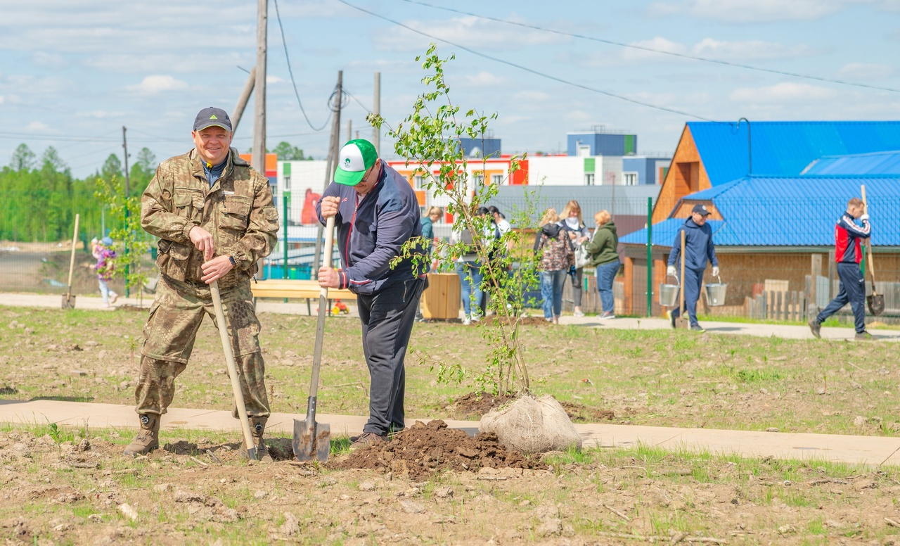 Молодые яблоньки стали дополнительным украшением прогулочных дорожек Молодые яблоньки стали дополнительным украшением прогулочных дорожек