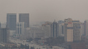 «Буквально нечем дышать». Варламов назвал причины пыли в Новосибирске