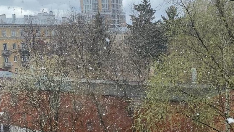 В Перми 1 мая выпал снег. Фото и видео от читателей 59.RU