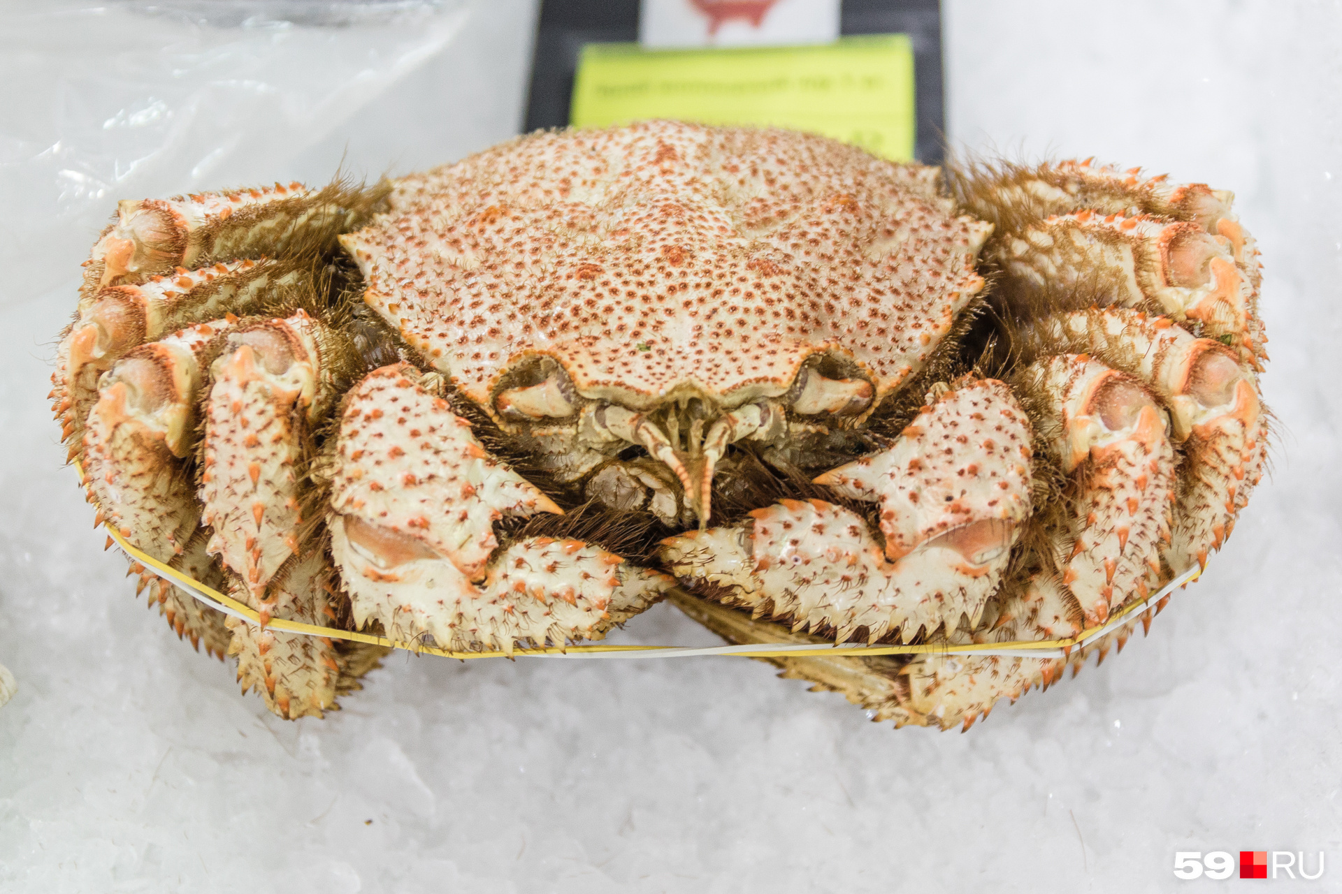 До введения санкций морепродукты везли из-за рубежа самолетами До введения санкций морепродукты везли из-за рубежа самолетами