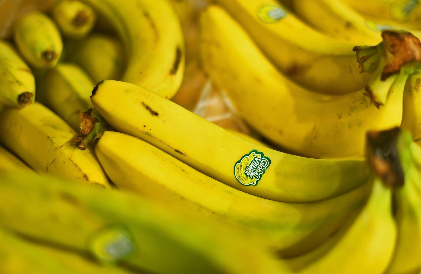 Включи про банан. Эквадорские бананы. Теперь банановый. Главный поставщик бананов. Куча бананов.