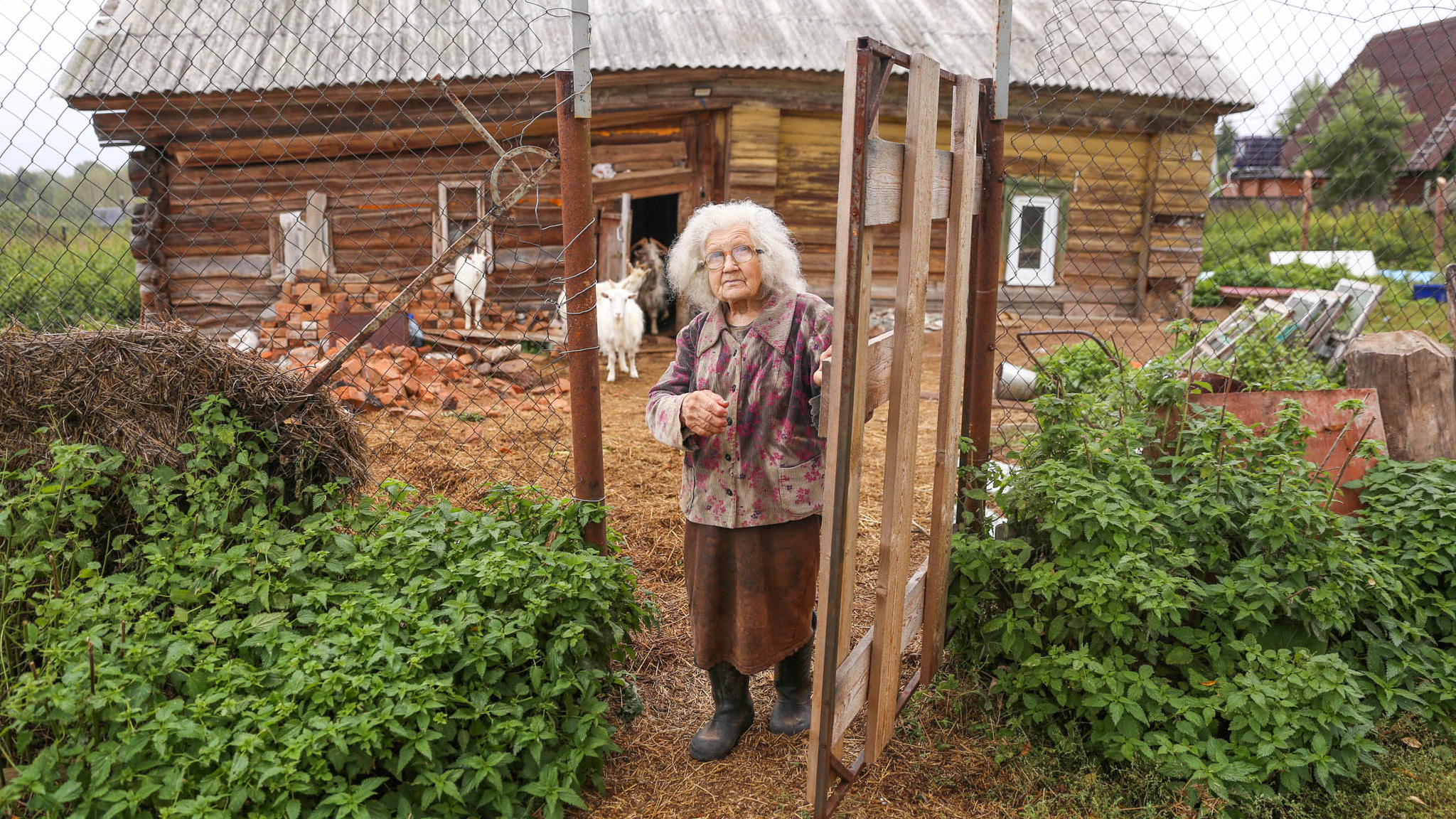 Землянка: последние новости на сегодня, самые свежие сведения | 76.ру -  новости Ярославля