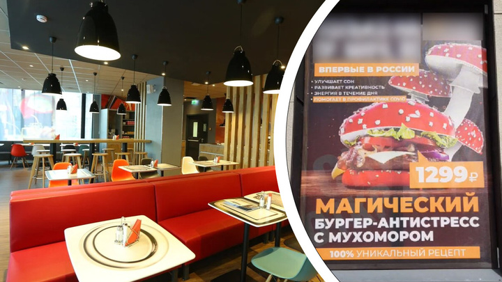 «Помогает в профилактике COVID»: в Красноярске рекламируют бургер с мухомором за 1300 рублей