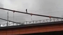 Кто-то решил пройтись по верхней части Кузнечевского моста — на видео это выглядит жутко