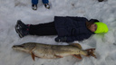 «Взял голыми руками»: в Самарской области рыбак поймал огромную щуку