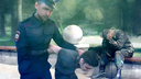 Уголовное дело за фейк о Вооруженных силах России завели на десятиклассника из Новосибирска