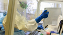 Защитит ли вакцина «Спутник» от нового коронавируса — «кентавра»? Подробный разбор с врачами