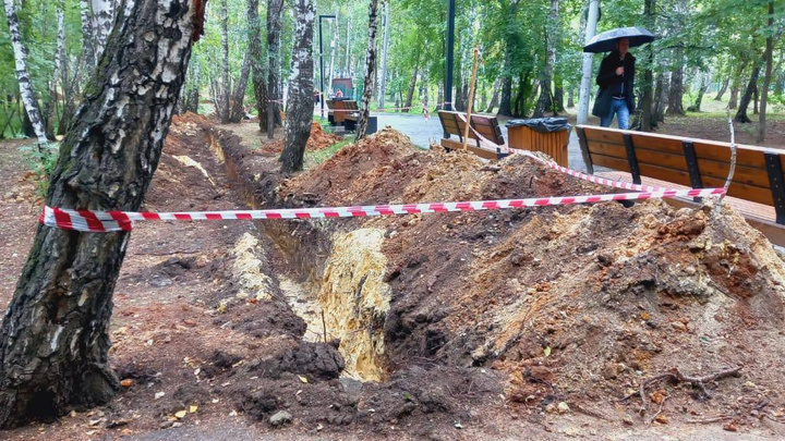 «У деревьев все корни перерубаются»: жителей Челябинска обеспокоили раскопки в городском парке