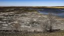 «Озера потеряли <nobr class="_">20–70</nobr> см уровня»: метеорологи объяснили причину пересыхания водоемов на Южном Урале