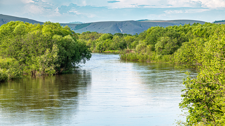 Забайкальские реки поднялись до 75 см и вышли на пойму — новый подъем ожидается 18 июля