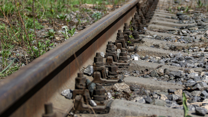 Поезд «Ласточка» сбил трех человек в районе станции Доскино. Погибла девочка