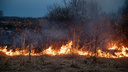В МЧС назвали самые проблемные районы Новосибирской области — там есть крупные пожары