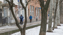 Февраль сдает позиции: смотрим погоду в Волгограде и области в День защитника Отечества