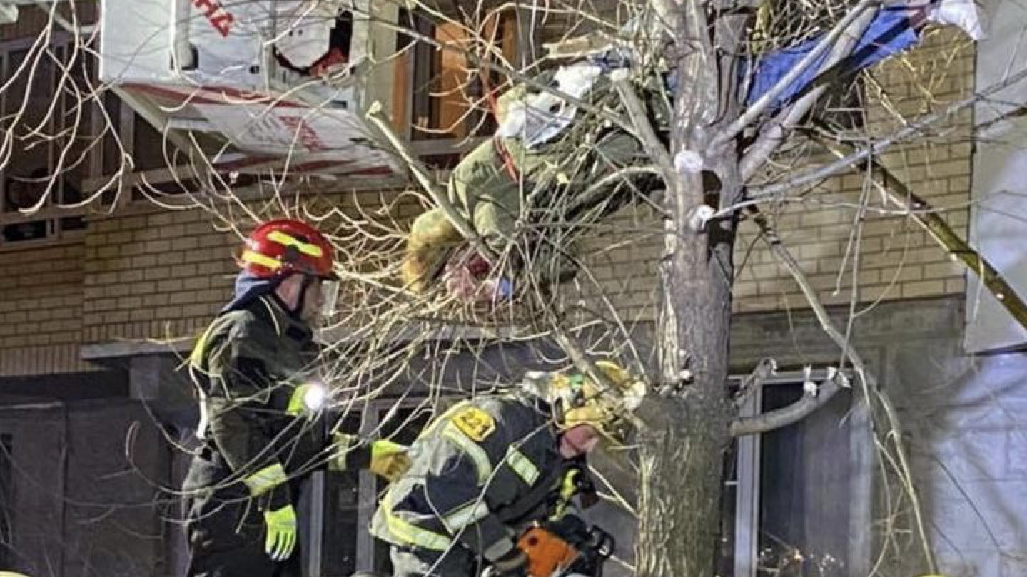 Москва выпал мужчина. Упавшее дерево в Москве.