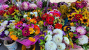 «От 250 до 1000 рублей»: площадь Калинина заполнилась букетами к Первому сентября — цены и фотографии цветов