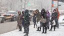 В Ростове похолодает до -11 градусов и пойдет снег